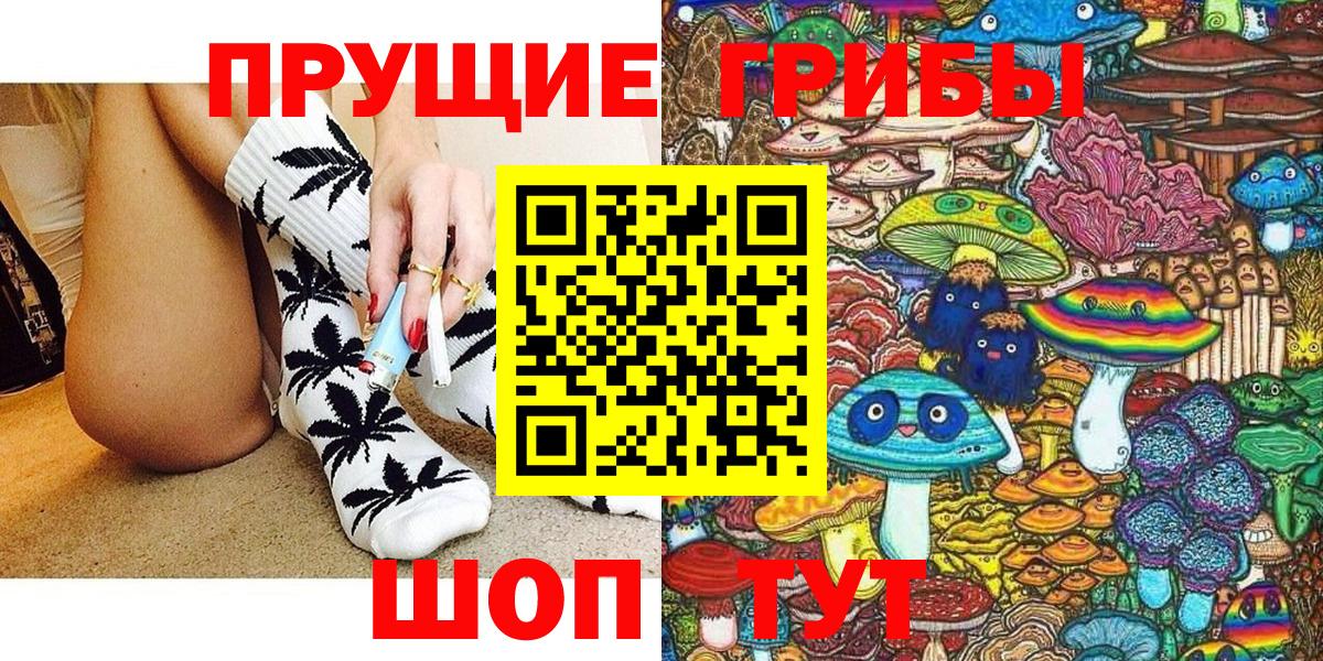 Псилоцибиновые грибы мицелий  Вход с VPN  Грозный 