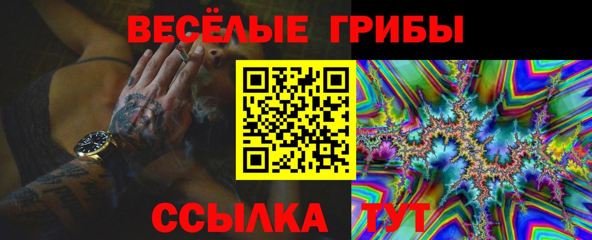 Псилоцибиновые грибы Psilocybe Грозный